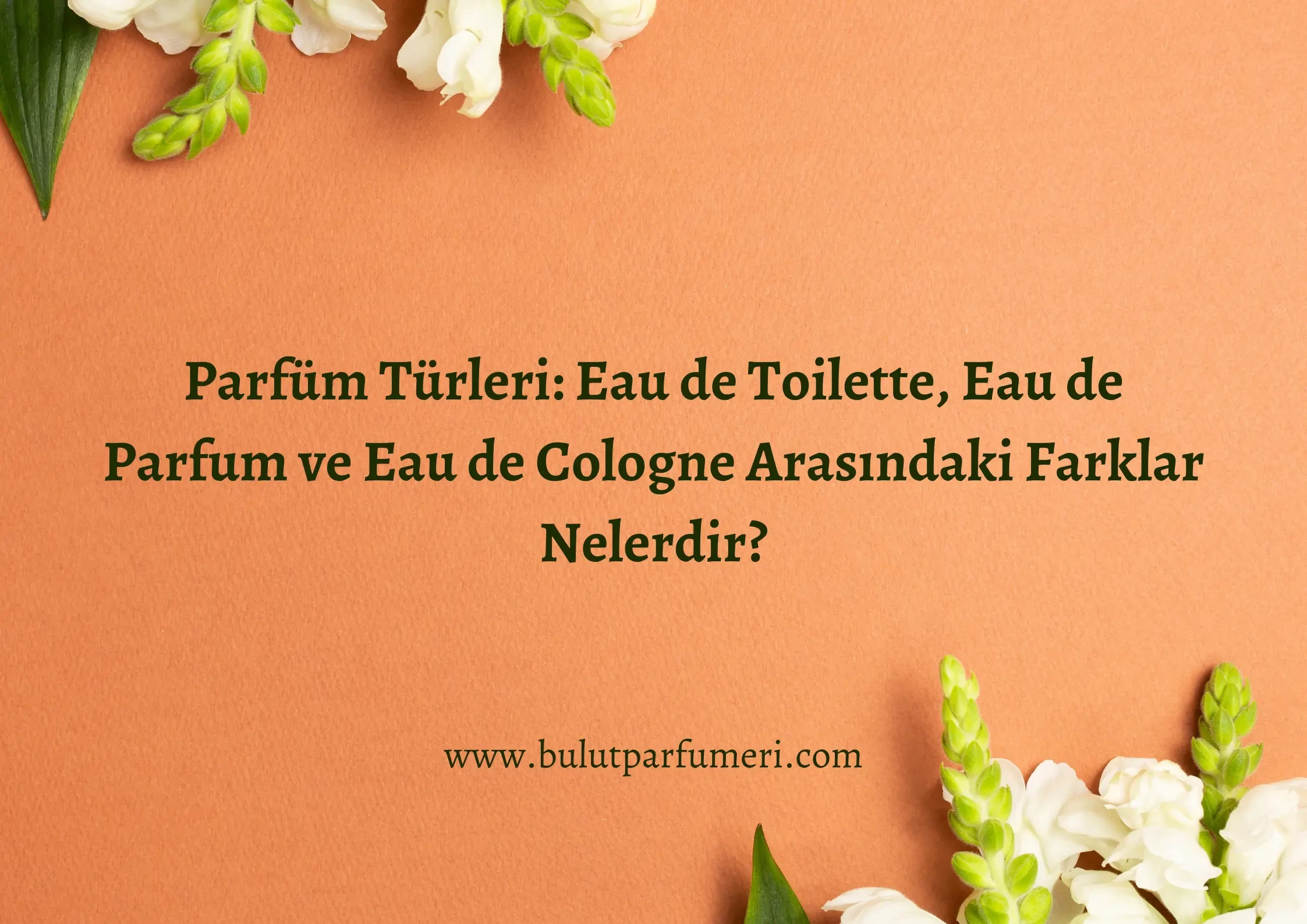 Parfüm Türleri: Eau de Toilette, Eau de Parfum ve Eau de Cologne Arasındaki Farklar Nelerdir?